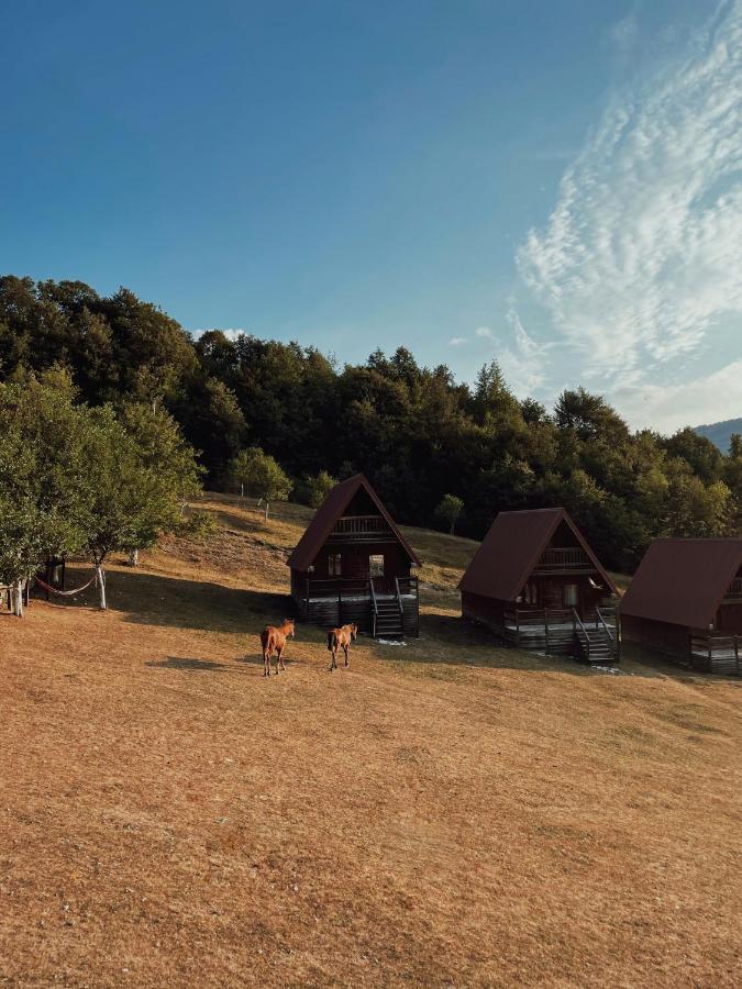 Etno Village Vojnik Savnik Exterior photo
