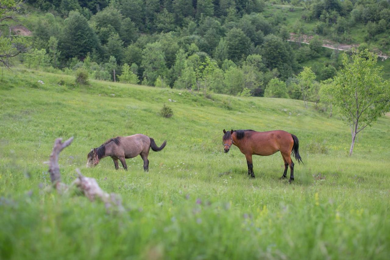 Etno Village Vojnik Savnik Exterior photo
